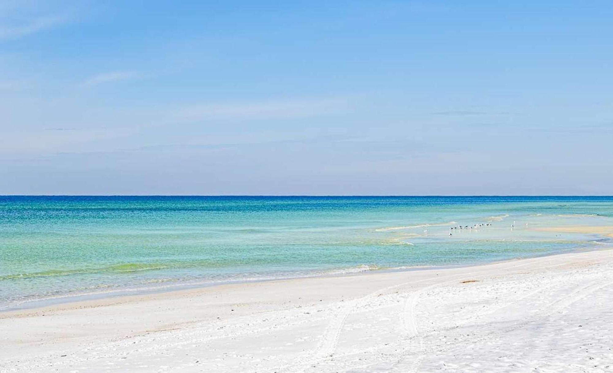 Calypso 3-1206 - The Taag Holiday home Panama City Beach